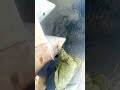 Рыбалка на щуку