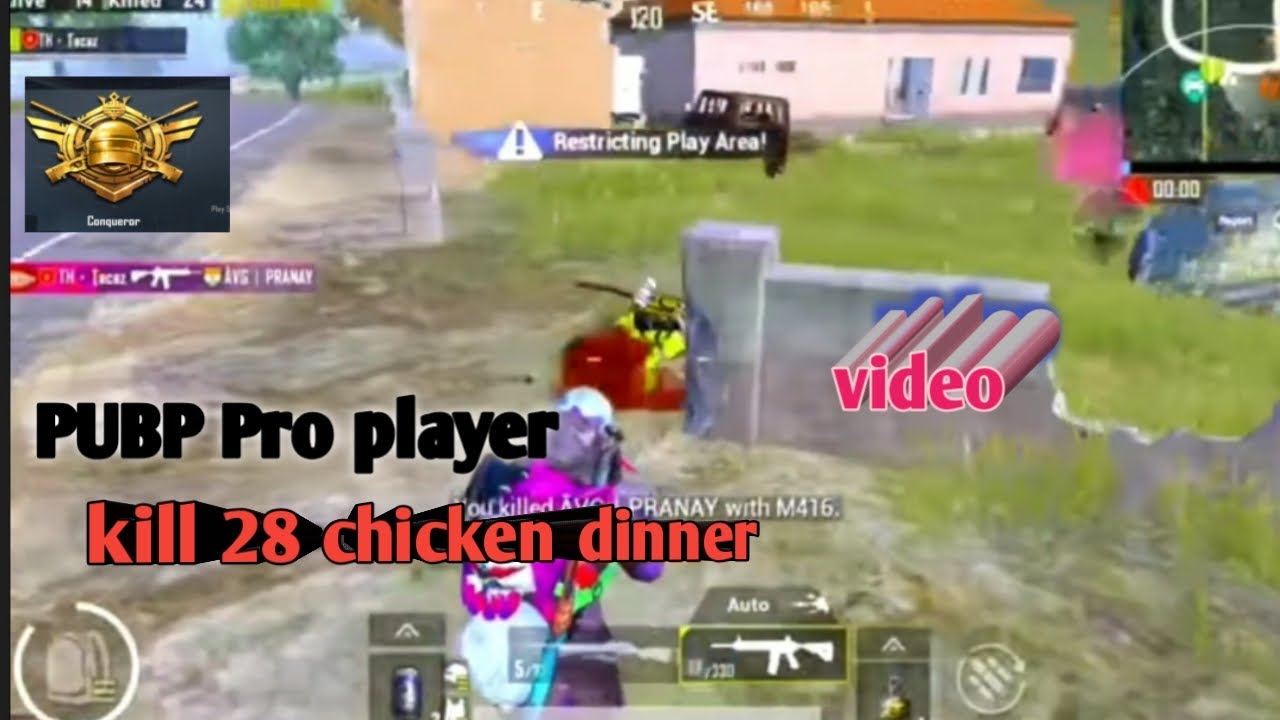 pubg pro player name pubg pro player name