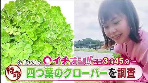 【公式】8月15日（火）イチオシ！！　番組予告