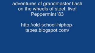 the adventures of grandmaster flash on the wheels of steel live! 1983