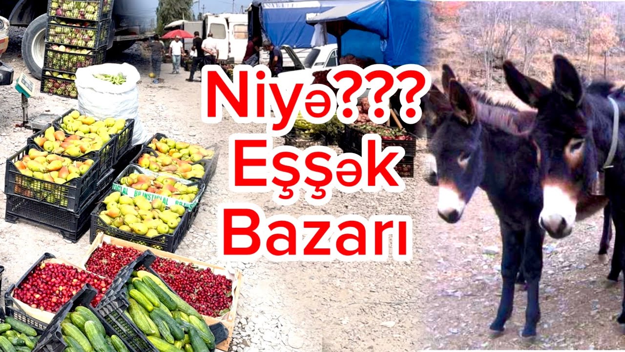 Eşşək bazarı - Son vaxtlar xalq dilində Eşşək bazarı kimi populyar olan Təzə bazara getdik