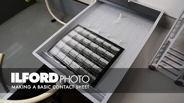 Making a Basic Contact Sheet