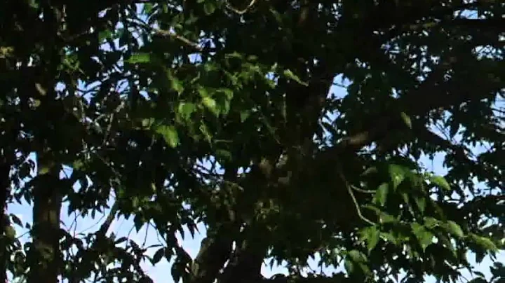 BEHIND THE SCENES "That should be me" HD