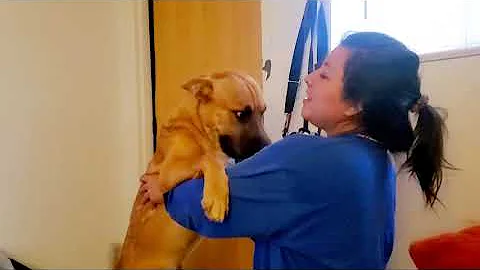 Jasmine and Simba