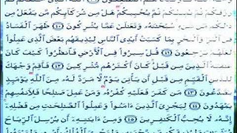 القران الكريم سورة الروم من الاية 28 الى اخر السورة