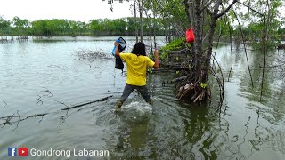 Dapat ikan aneh!! Di pinggir tambak jebol