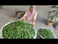 KURKURI BHINDI RECIPE BY MY GRANNY | HOW TO MAKE CRISPY OKRA | BHINDI KURKURI | BHINDI FRY | RECIPE