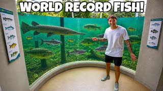 This AQUARIUM was FILLED with RECORD FISH!! (fish hatchery tour)