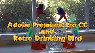 Adobe Premiere Pro Crop a Magic Drinking Bird