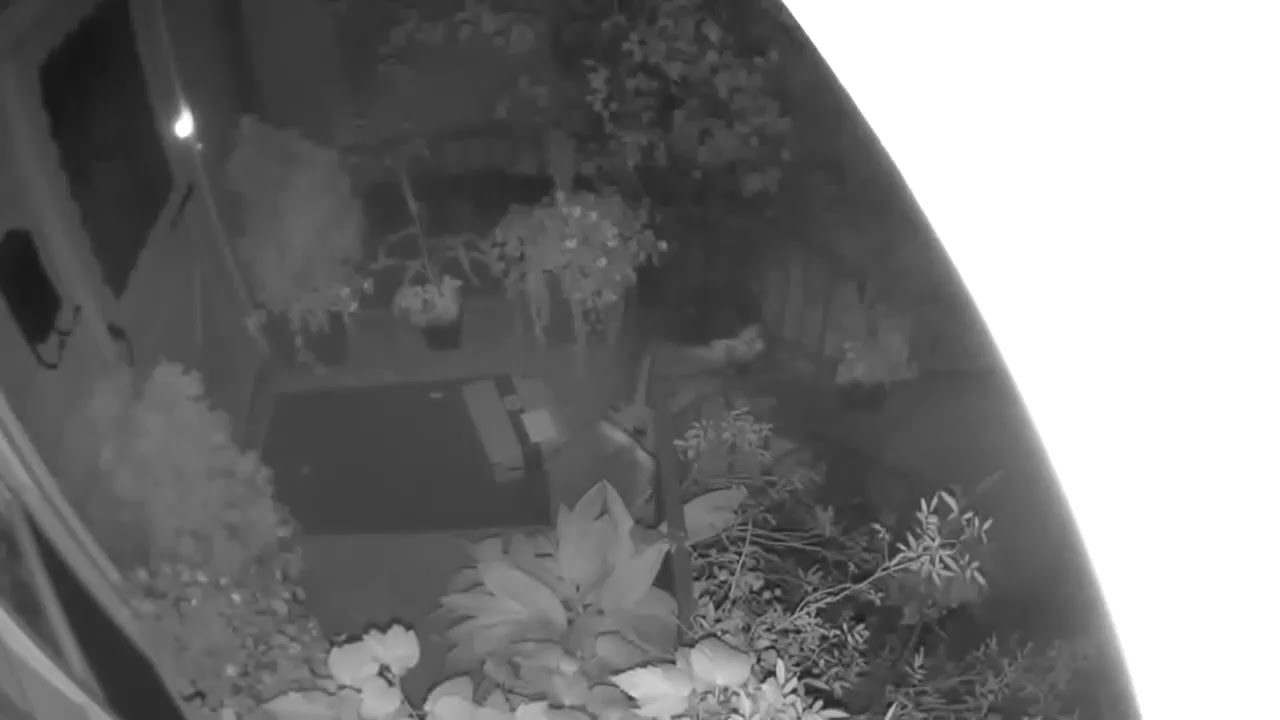 Interesting Package Theft Technique Caught on Camera - YouTube