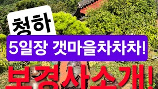 청하5일장&내연산보경사♡전포항대학사주명리학과교수ㆍ주간인물선정최고의역학자ㆍ현재포항에서30년철학관운영중010 3534 6632