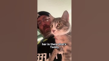 Getting LIFE Back On Track After Chaos