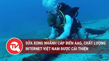 Sửa xong nhánh cáp biển AAG, chất lượng Internet Việt Nam được cải thiện