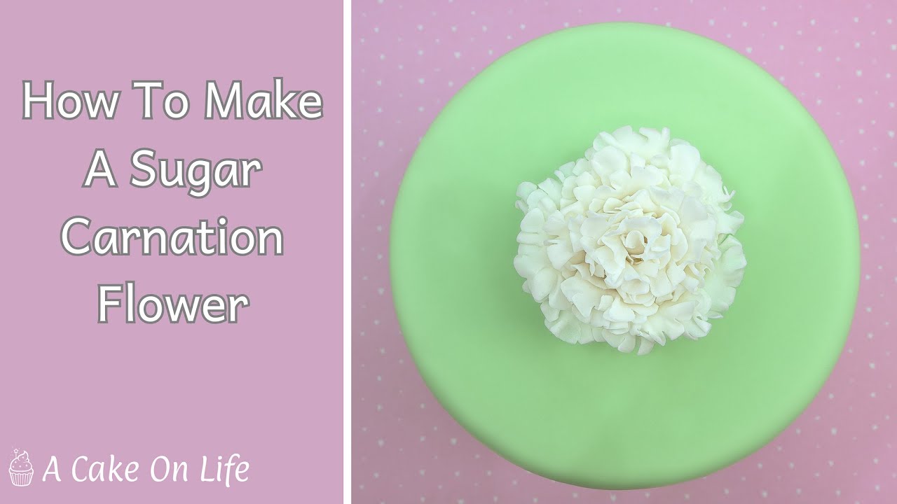 How To Make A Sugar Carnation/ Fondant Carnation Tutorial - YouTube
