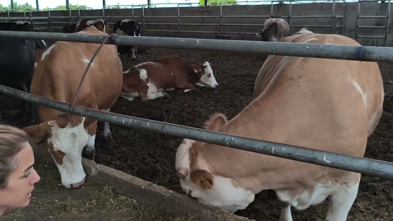 Gümüldür'e hizmet veren Ürüncü Çiftliğine konuk olduk