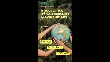 Importance of Sustainability, Our Resolution for 2025