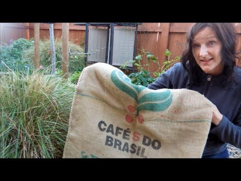 How to Grow Potatoes in a Grow Bag, Burlap Sack or Container - Home Grown  Fun