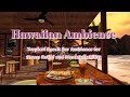 Tropical Beach Bar Ambience for Stress Relief and Mental Stability | 2 Scenes from the South Island