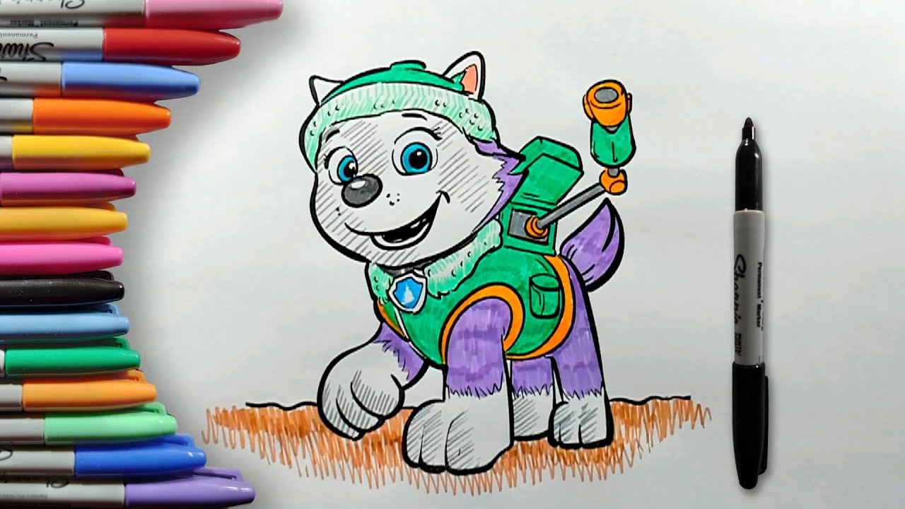 How to Color Everest from Paw Patrol Step by Step