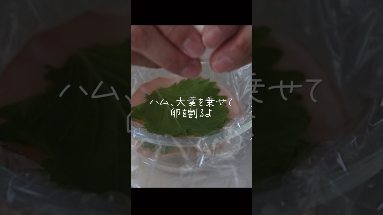 【隙間埋めおかず】レンジで簡単!シソチーズハムエッグ #お弁当 #隙間埋め #簡単レシピ