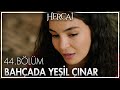 Ebru Şahin -  Bahçada Yeşil Çınar - Hercai 44. Bölüm