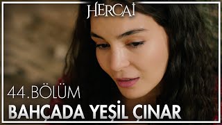 Ebru Şahin -  Bahçada Yeşil Çınar - Hercai 44.  Resimi