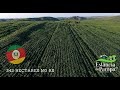 FAZENDA À VENDA NO RS COM 242 HA