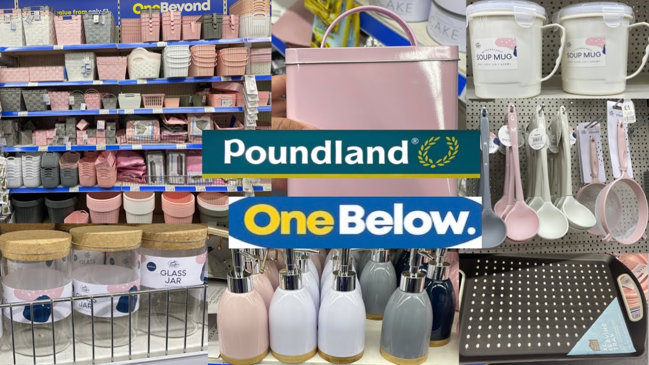 NEW FIND IN POUNDLAND & ONE BELOW / COME SHOP WITH ME / POUNDLAND HAUL