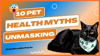 Shocking Truths Revealed: Debunking 10 Pet Health Myths! by Meow Moments 7 views 10 months ago 5 minutes, 44 seconds