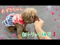 【幼稚園】あずきちゃん鼻タッチ練習‼️