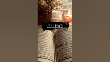 تلاوة خاشعة الشيخ #ماهر_المعيقلي #trending          #tiktok    #foryou