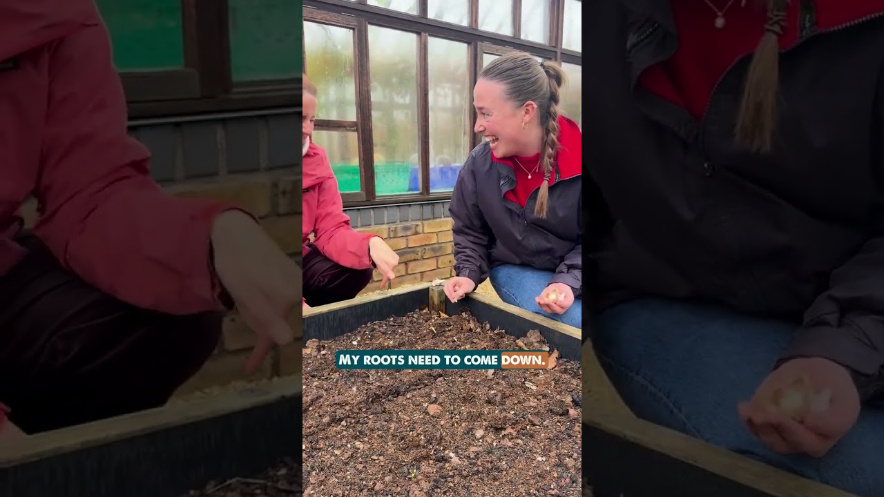 GROW at School GROW Along: Garlic Sowing