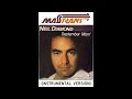 NEIL DIAMOND September Morn INSTRUMENTAL VERSION mp3