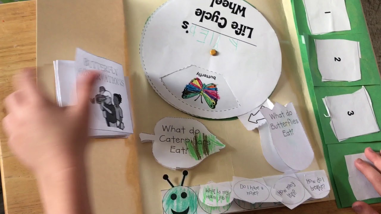 Butterfly Lapbook Presentation YouTube