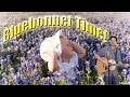 Bluebonnet Time Quiz