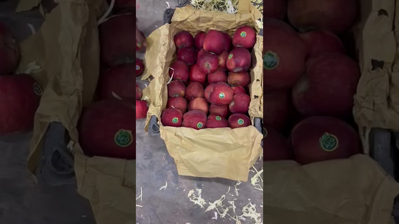 Top quality afghan apple in limited quantity 8/12/25 UP cold storage vashi 
