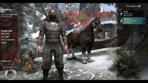 Elder Scrolls Online running on Ubuntu Linux 18.04