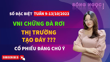 SỐ ĐẶC BIỆT  9-13/10/2023:  NHỮNG TÍN HIỆU CHỮNG RƠI ĐẦU TIÊN - VNI TẠO ĐÁY ??? - Cổ  phiếu chú ý?