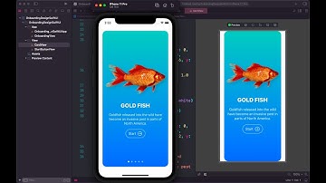 Onboarding Screen Design SwiftUI