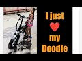 I just  my doodle  fathers gift  best electric folding bike 