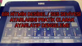 Korg Ritmin Desibel / Ses Seviyesi Ayarlarını Pratik Dengeleme, Ritim Editleme, Eko Ayarlama