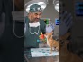 #comedyshorts #funny #pets #viralvideo #viral #dog