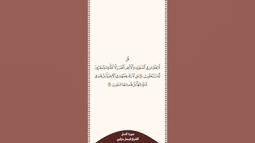 تلاوة في ٣٠ ثانية سورة النمل الآيات من ٦٥ إلى ٦٦ الشيخ فيصل غزاوي