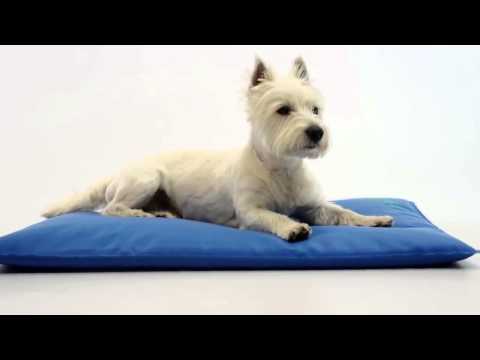 K&H Cool Bed III Cooling Dog Bed / Pad / Mat