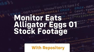 Monitor eats alligator eggs 01 stock footage