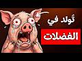 لماذا من السيء أن ت ولد كخنزير الجميع يكرهك ويريد نهايتك