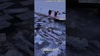 Ice harvest in Harbin: A real-life Tetris spectacle