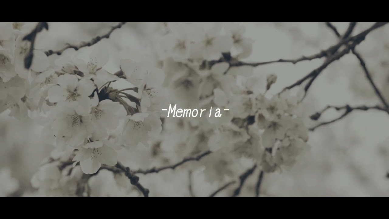 【PV】Mukai Riku 15