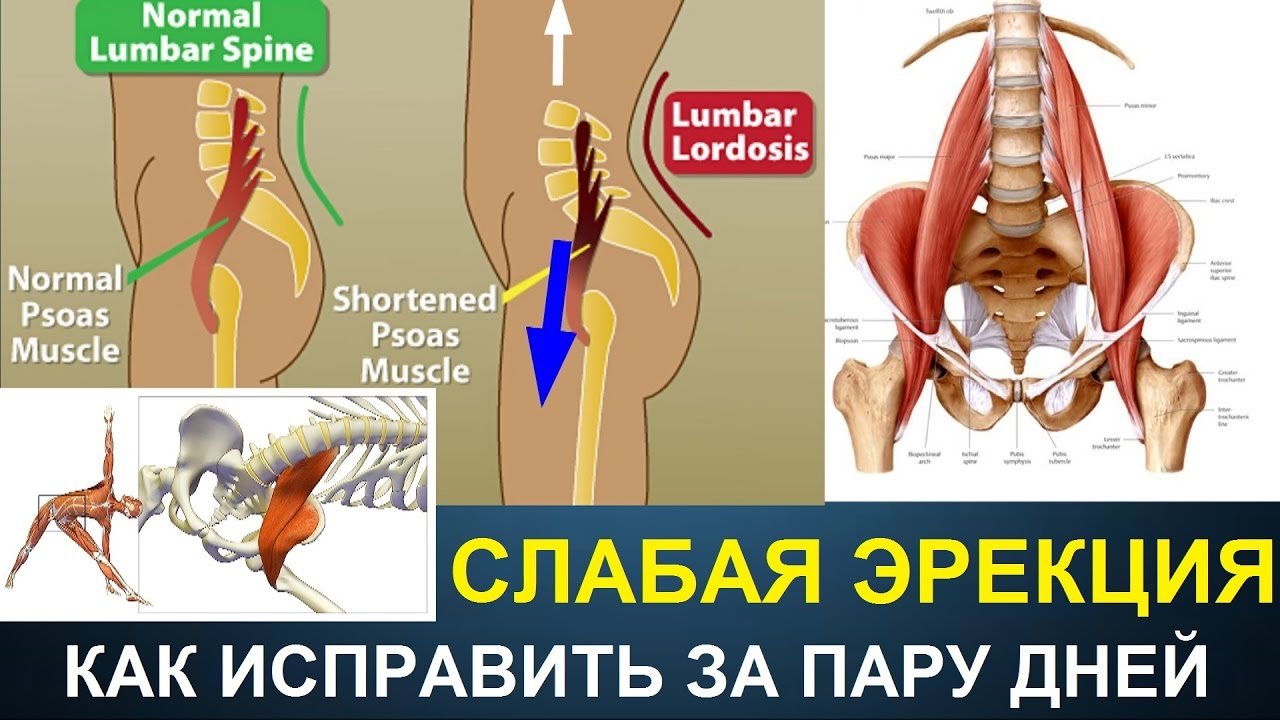 10 ключевых элементов купить виагра