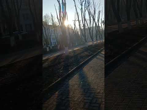 Аллейка на заводе (так ее в народе называют) Назрань, январь,2025